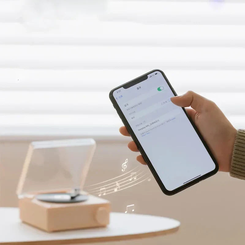 Vinyl Wireless Bluetooth Speaker